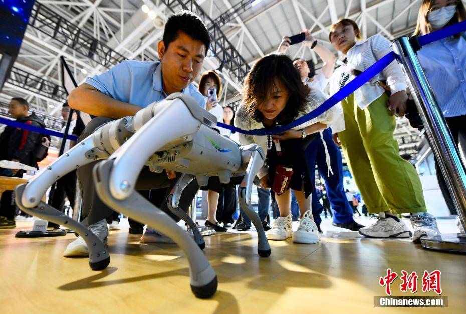 探访第七届数字中国建设峰会体验区：AI让数字生活更精彩